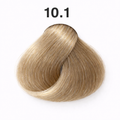 10.1 - Platinum Ash Blonde