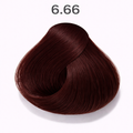 6.66 - Dark Intense Red Blonde