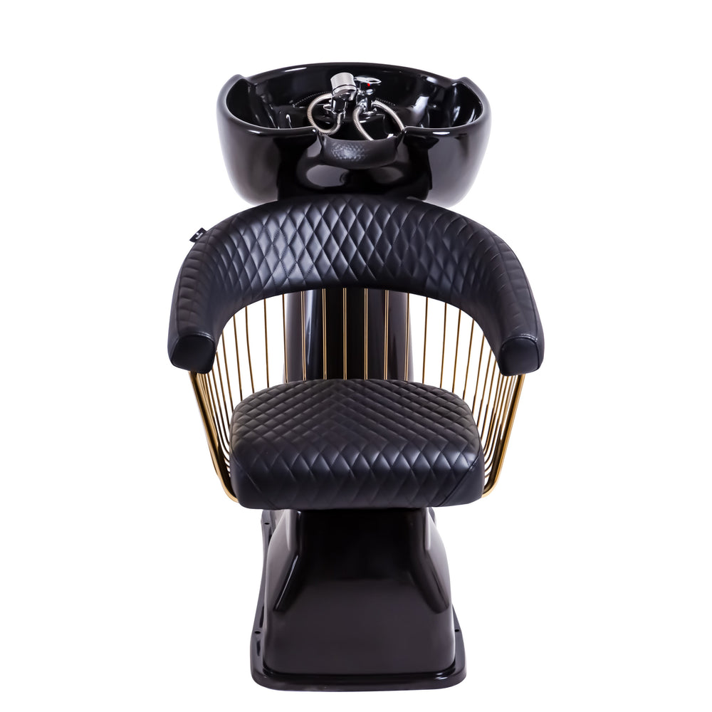 Luxury Shampoo Backwash Unit