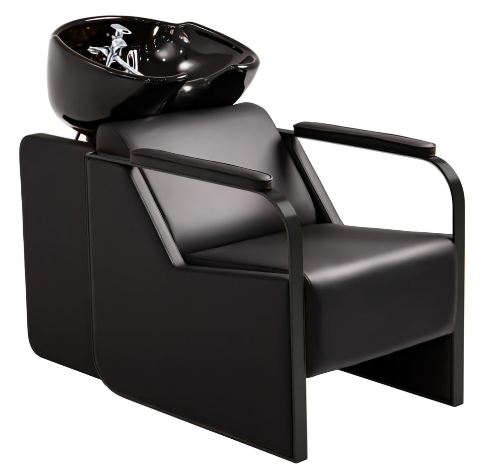 Modern Shampoo Backwash Unit - Black