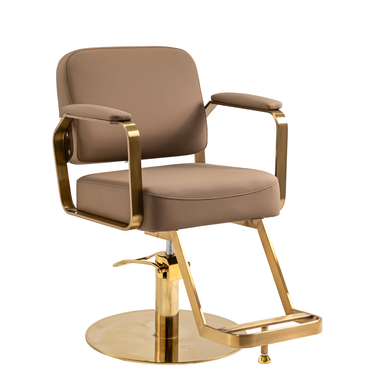 Elegant Modern Salon Chair - Brown &amp; Gold