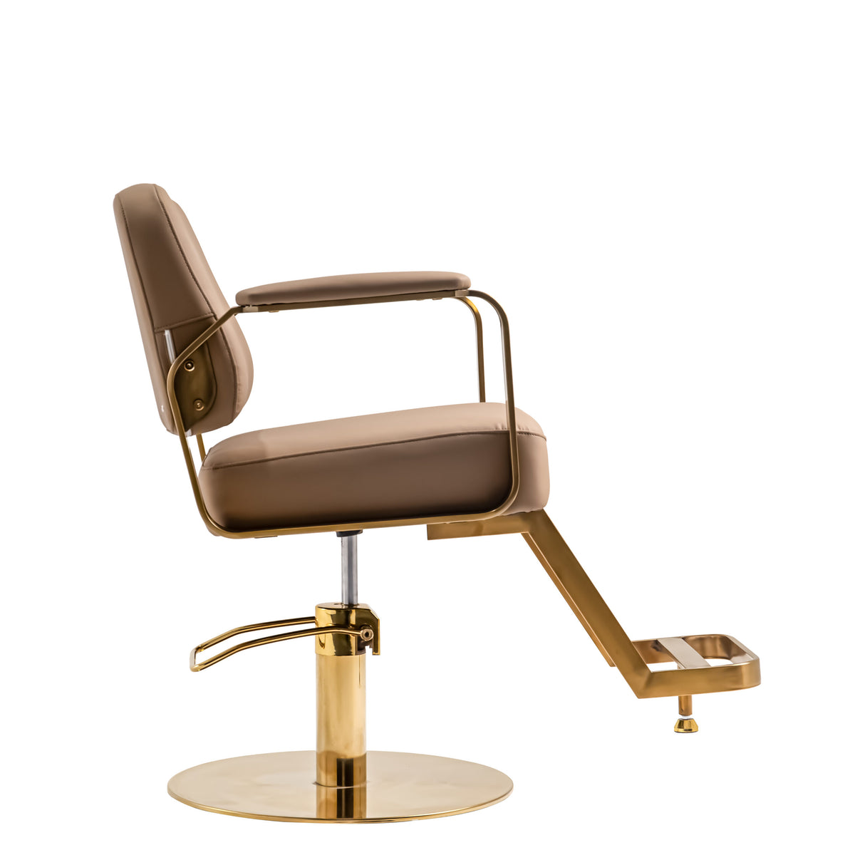Elegant Modern Salon Chair