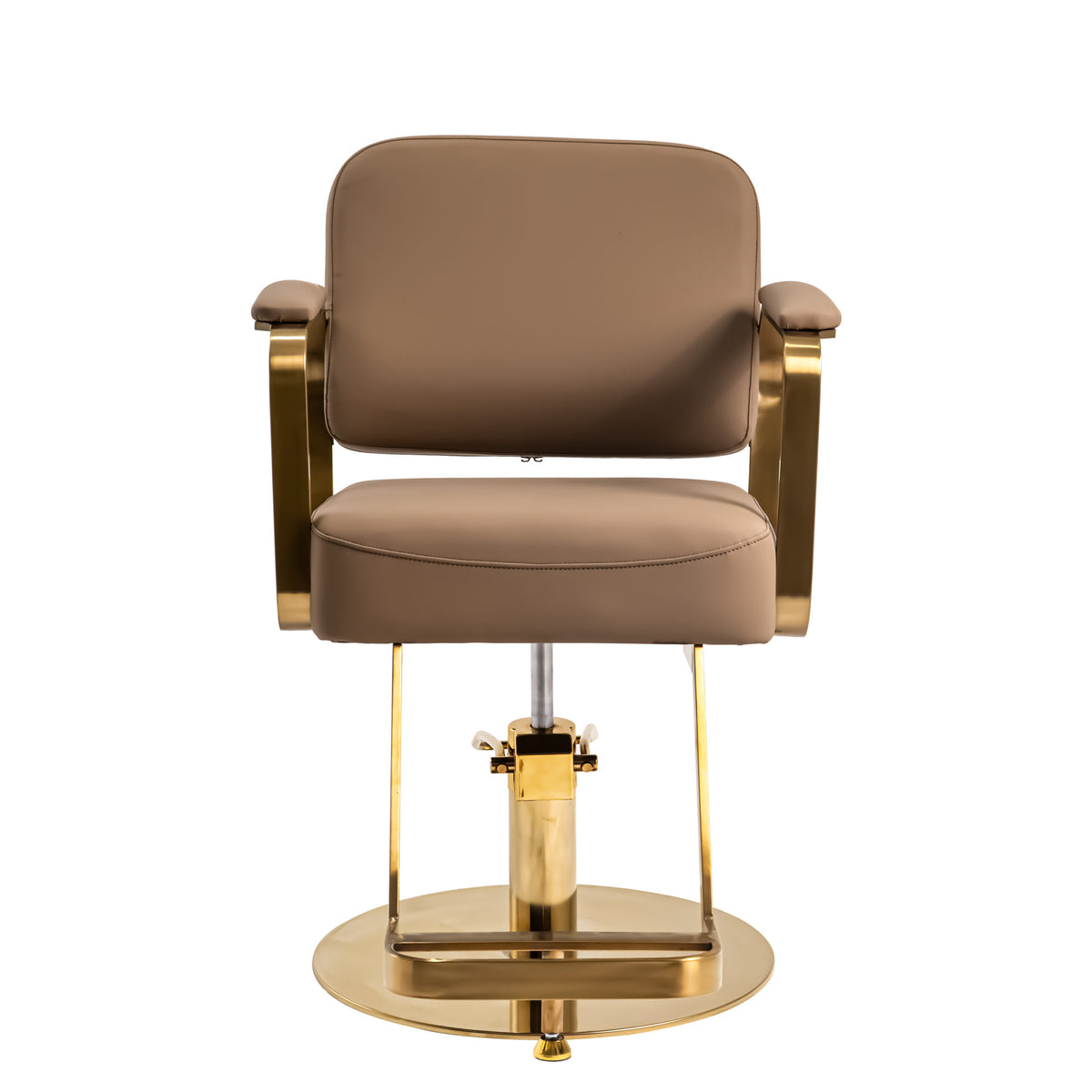 Elegant Modern Salon Chair