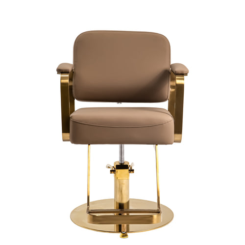 Elegant Modern Salon Chair