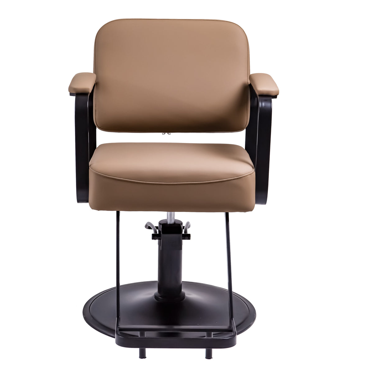Elegant Modern Salon Chair
