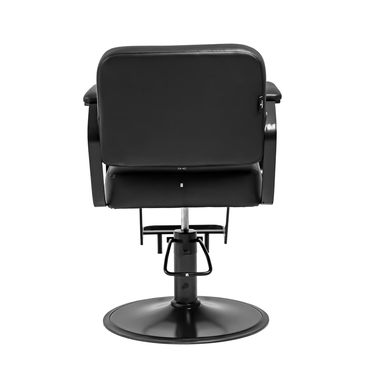 Elegant Modern Salon Chair