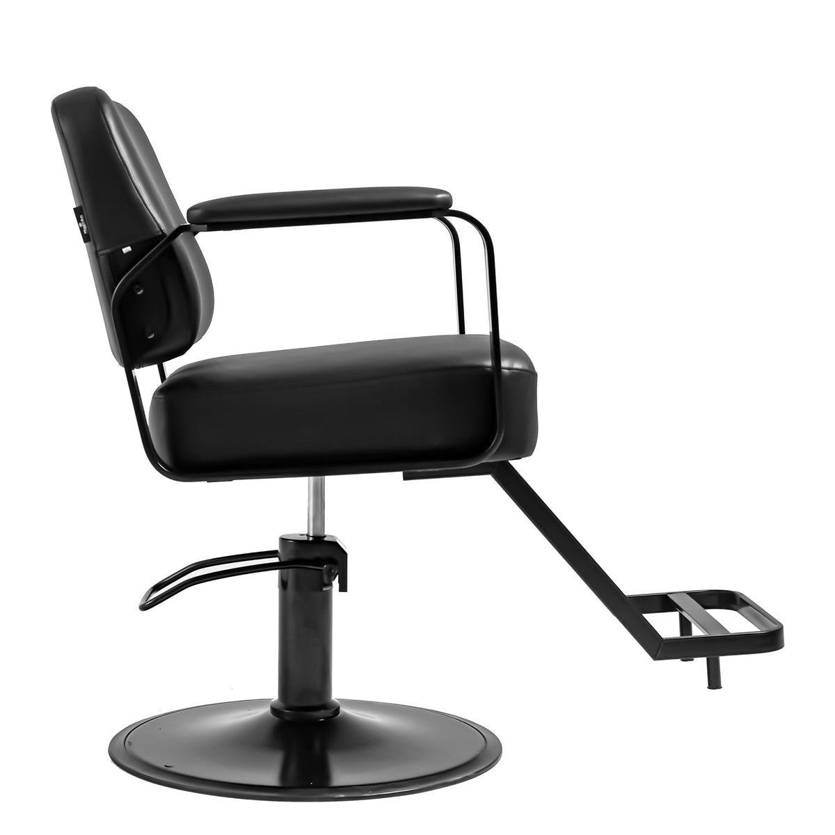 Elegant Modern Salon Chair