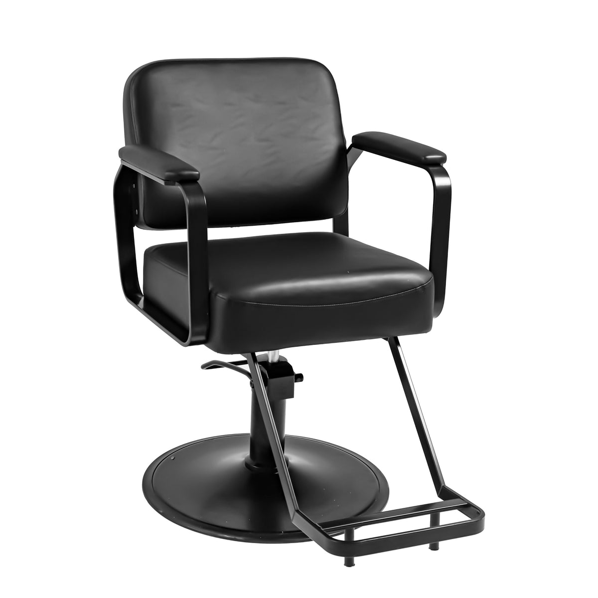 Elegant Modern Salon Chair - Black