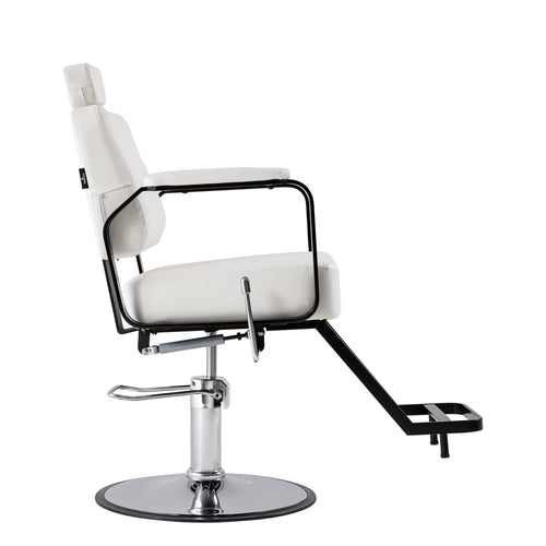Reclining Multi-Use Salon Chair