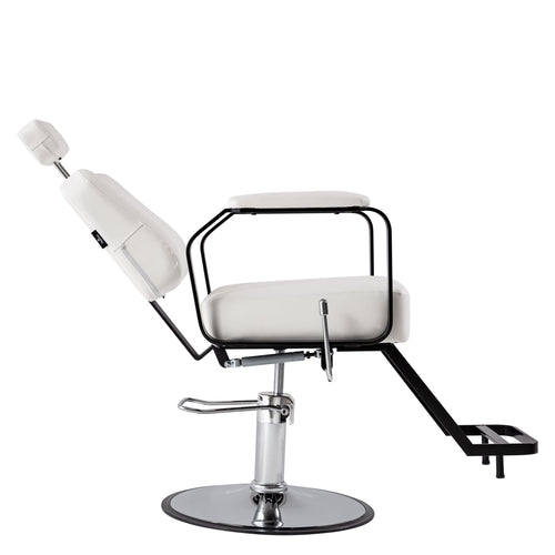 Reclining Multi-Use Salon Chair