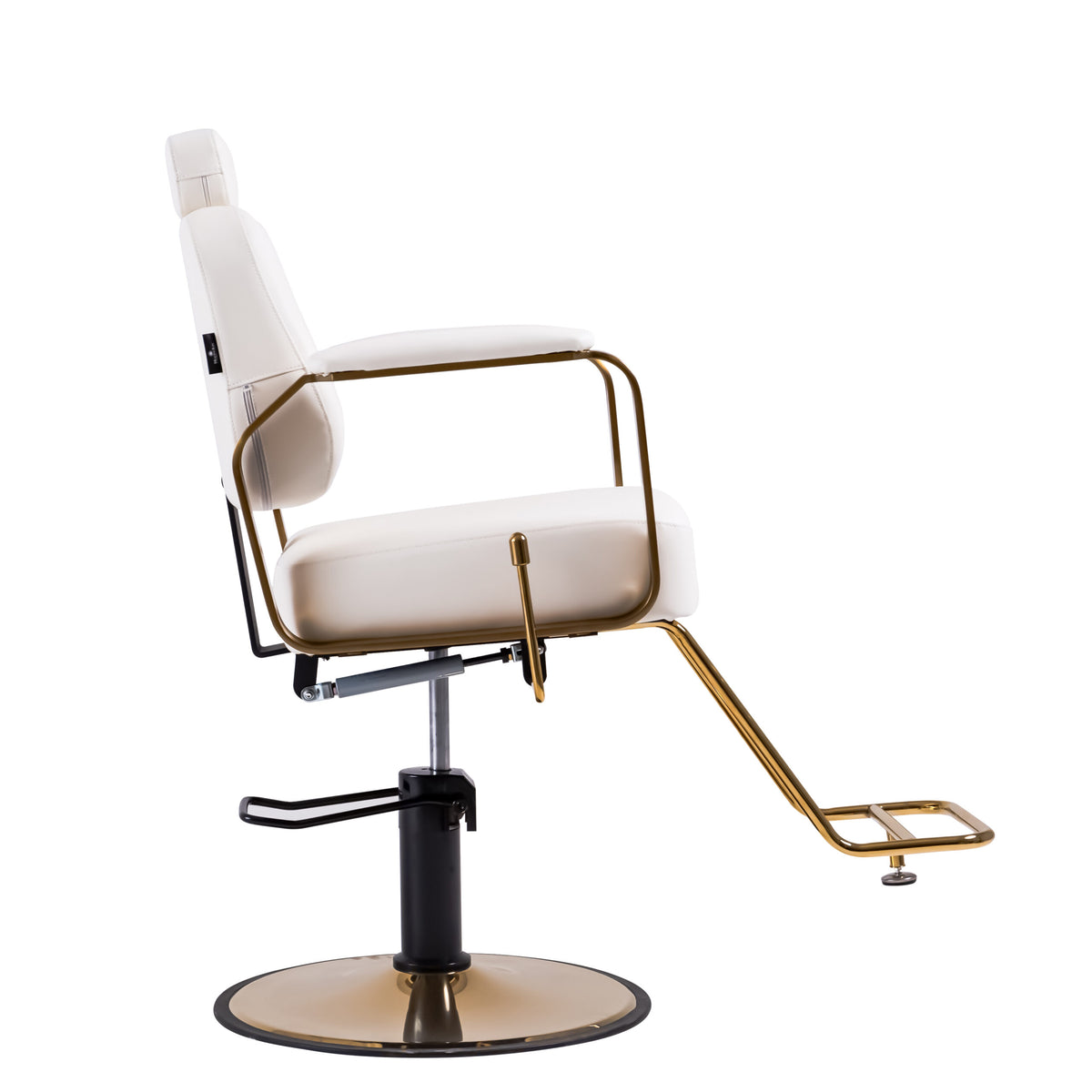 Reclining Multi-Use Salon Chair