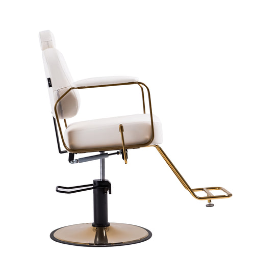 Reclining Multi-Use Salon Chair
