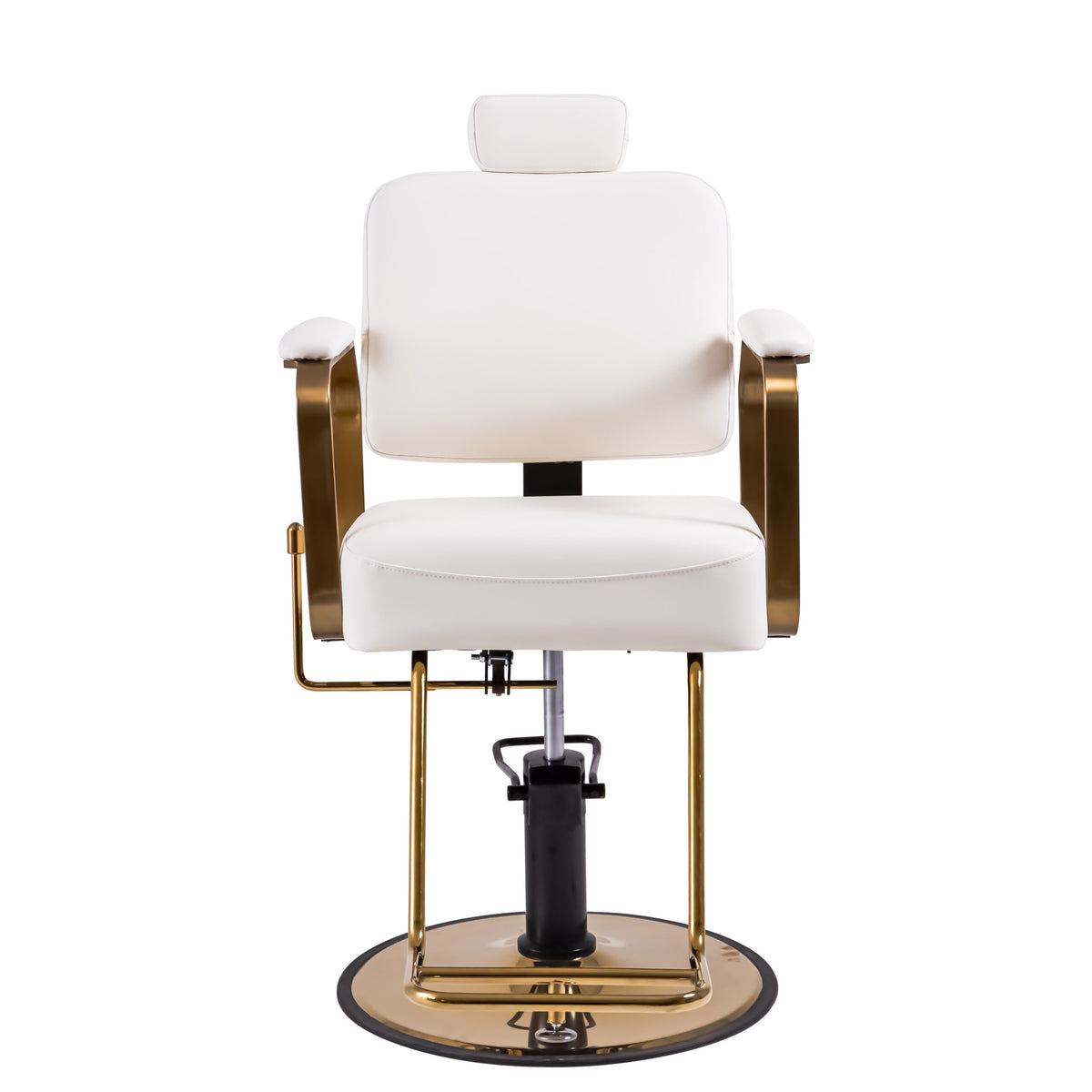 Reclining Multi-Use Salon Chair