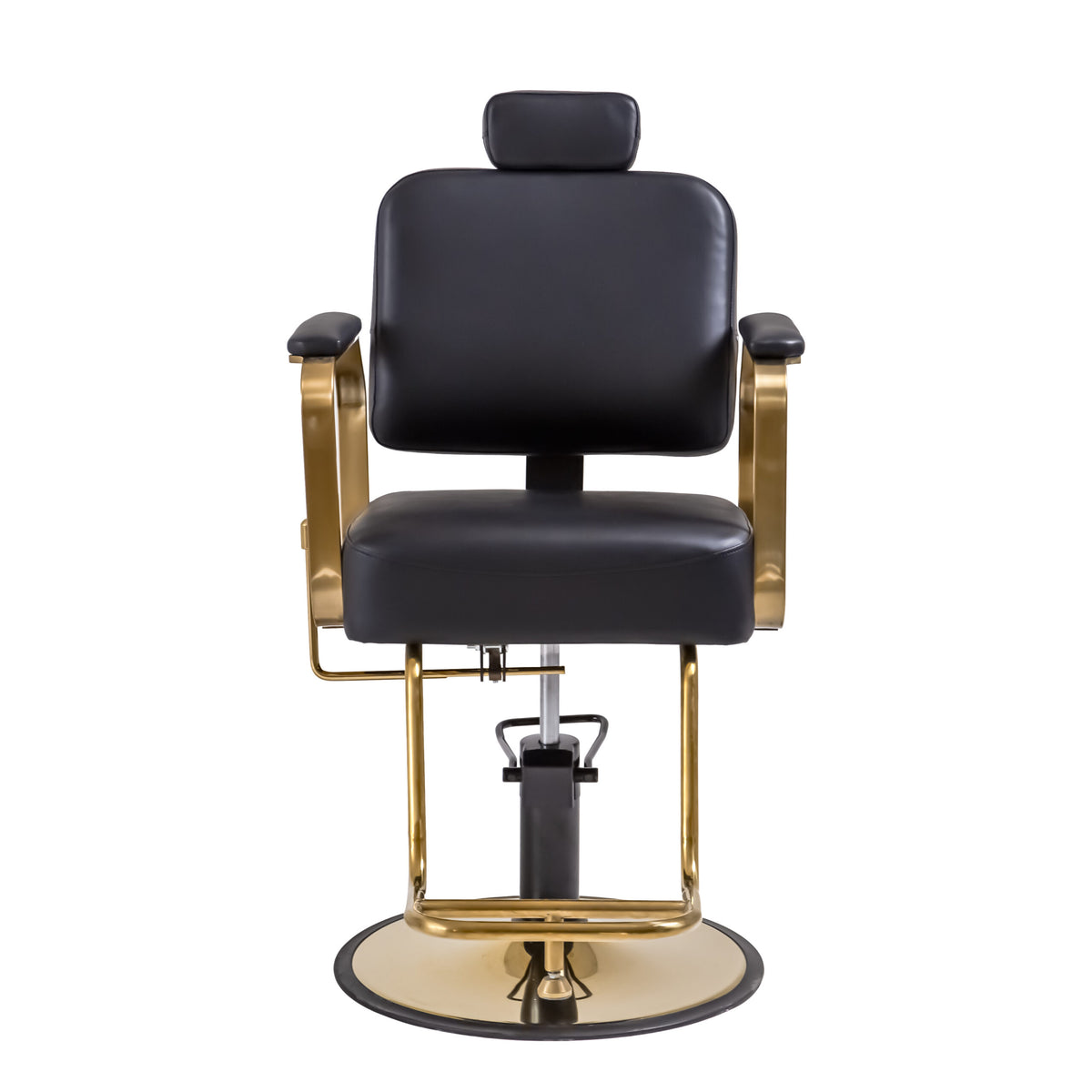 Reclining Multi-Use Salon Chair
