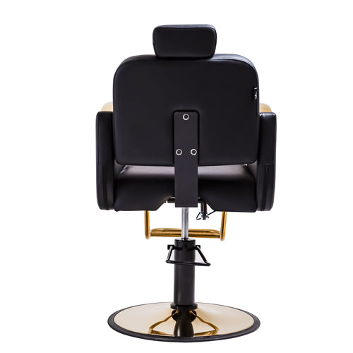 Premium Reclining Salon Styling Chair