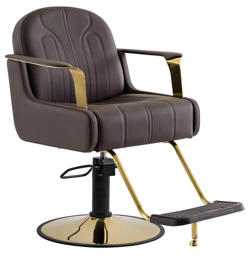 Sculpted Brown Salon Styling Chair