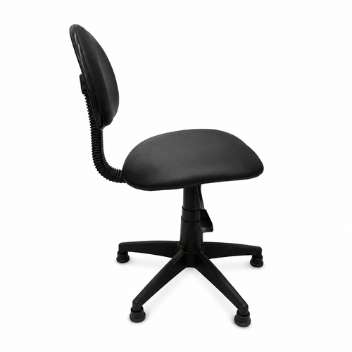 Flex Back Beauty Technician Chair