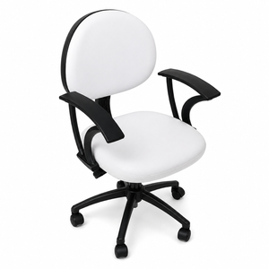 Round Back Beauty Technician Chair