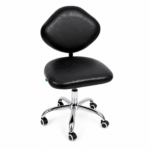 Leather Beauty Technician Chair