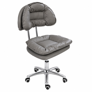 Professional Beauty Technician Chair