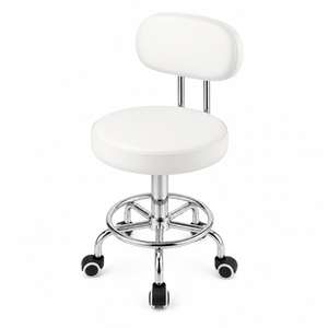Beauty Salon Chair