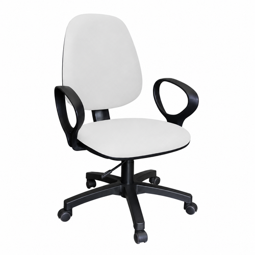 Classic Beauty Technician Chair