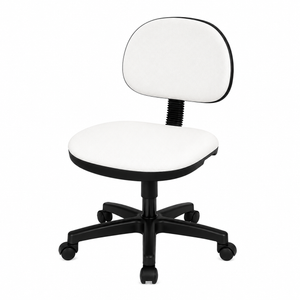 Flex Back Beauty Technician Chair