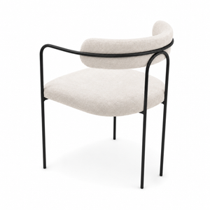 Modern Frame Salon Chair