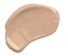 Samoa Skin Envy 2in1 Concealer - 105