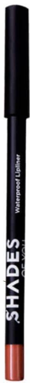 Shades Of You Long Lasting Lip Liner - 216